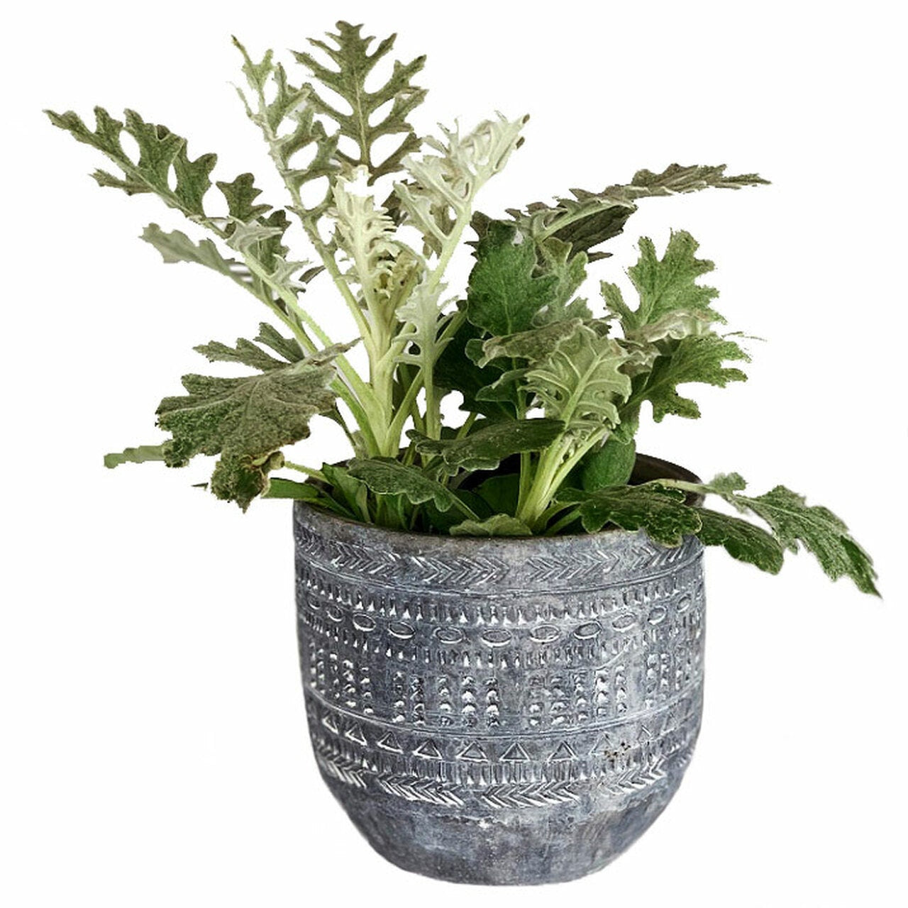 S/M Lovely Gray Wash Cement Aboriginal Design Planter