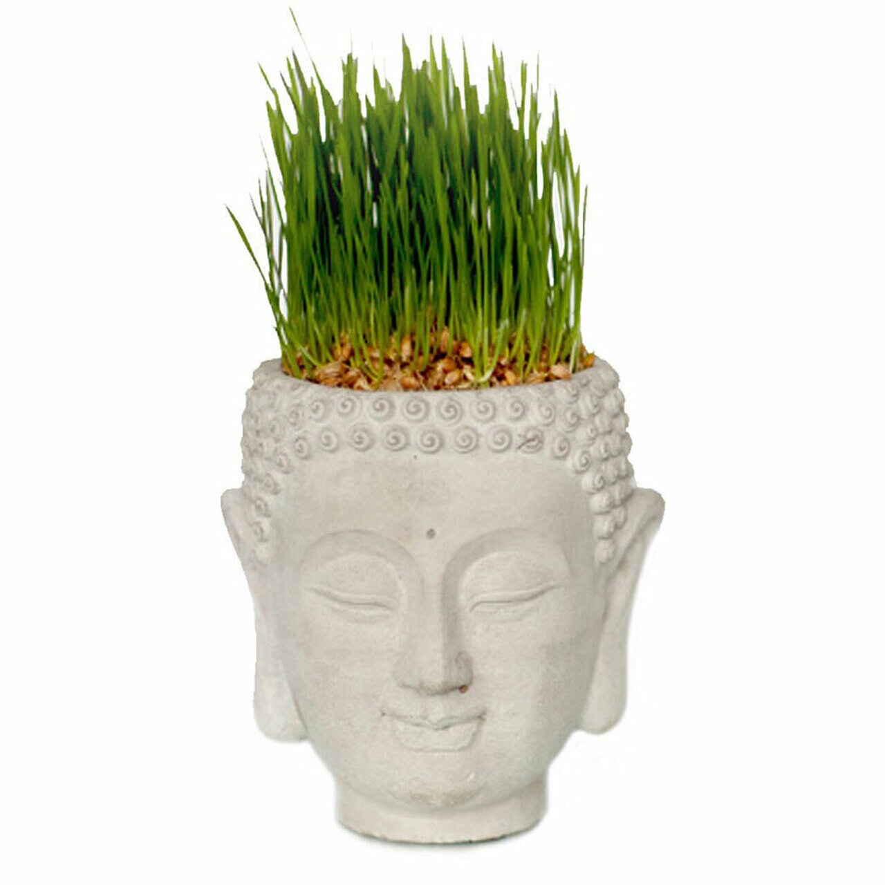 Cement Buddha Head Planter