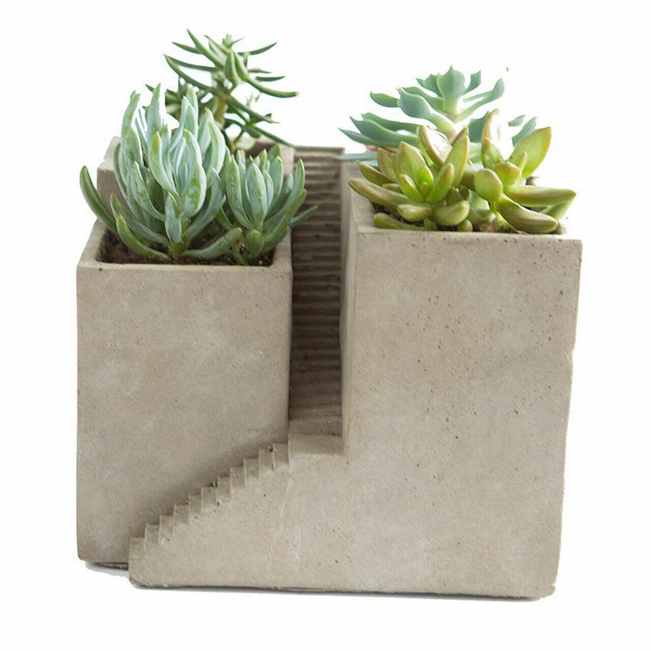 Cement Geometric Architectural Cube Planter III
