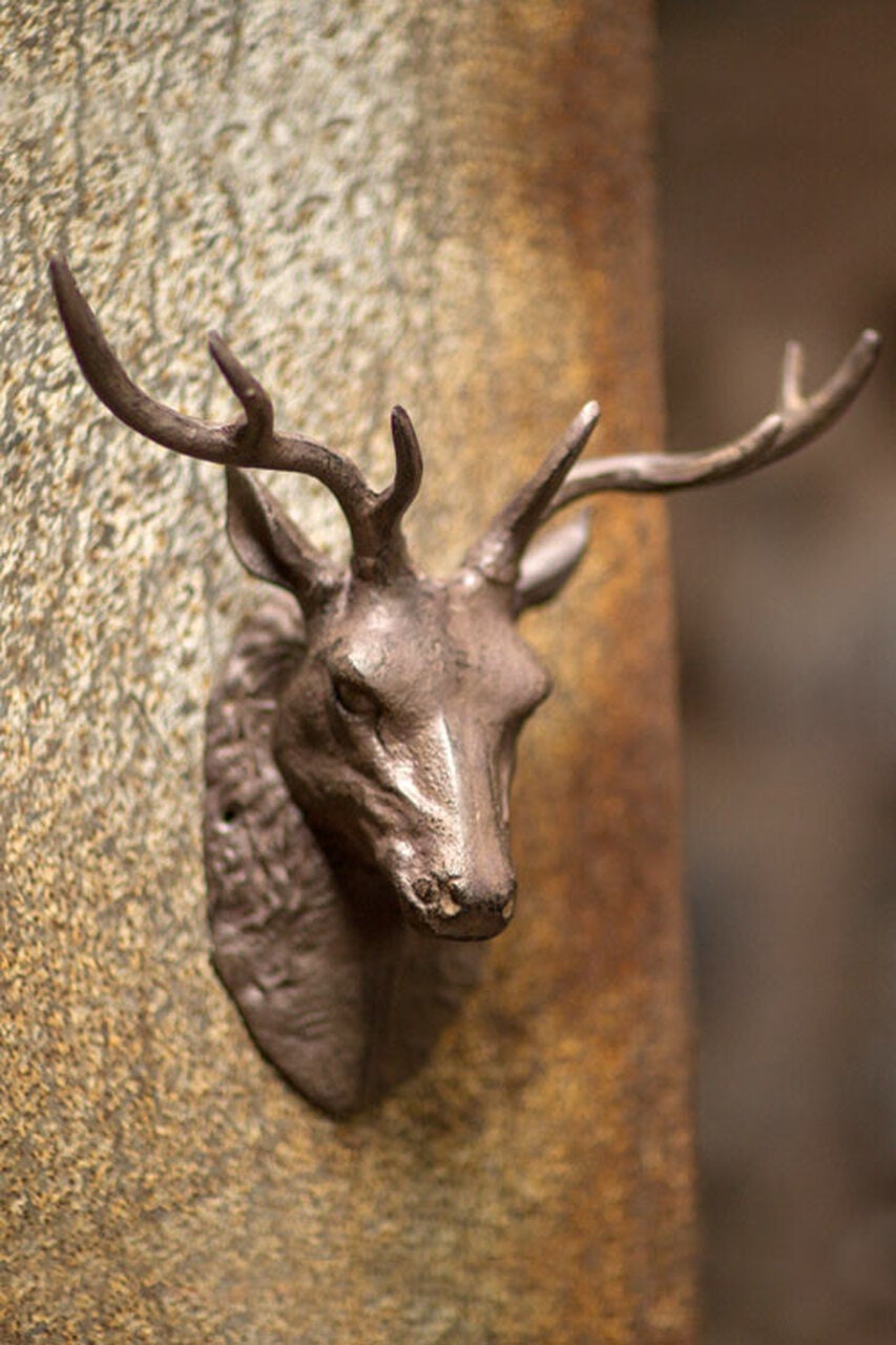 XLarge Cast Iron Buck Head
