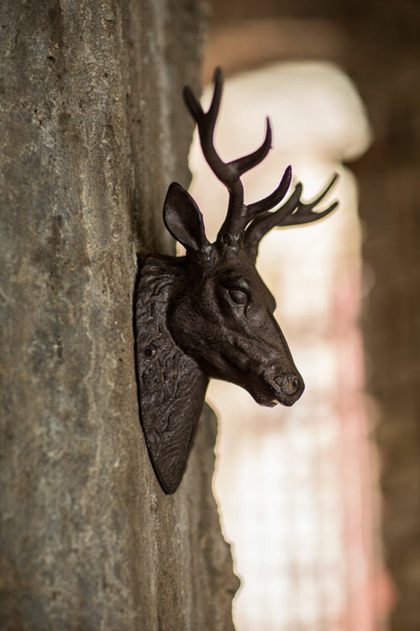 XLarge Cast Iron Buck Head