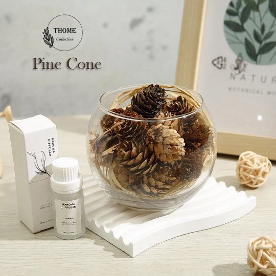 Essential Oil Diffusers & Natural Plants, Aromatherapy Diffuser