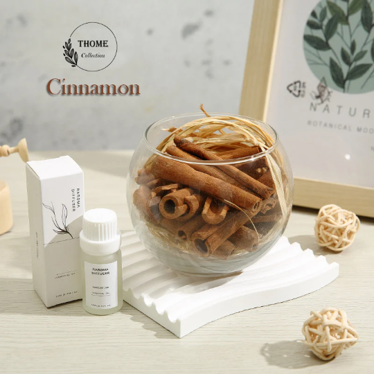 Essential Oil Diffusers & Natural Plants, Aromatherapy Diffuser