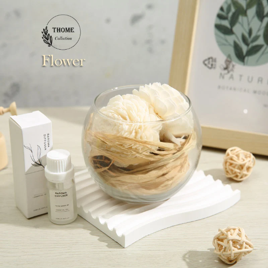 Essential Oil Diffusers & Natural Plants, Aromatherapy Diffuser