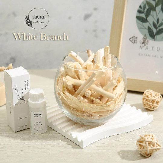 Essential Oil Diffusers & Natural Plants, Aromatherapy Diffuser
