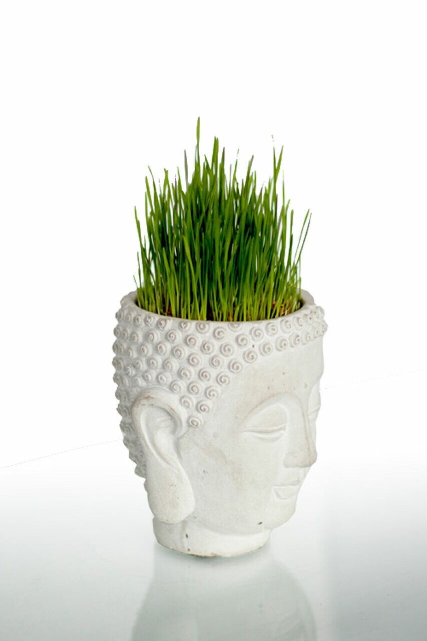 Cement Buddha Head Planter