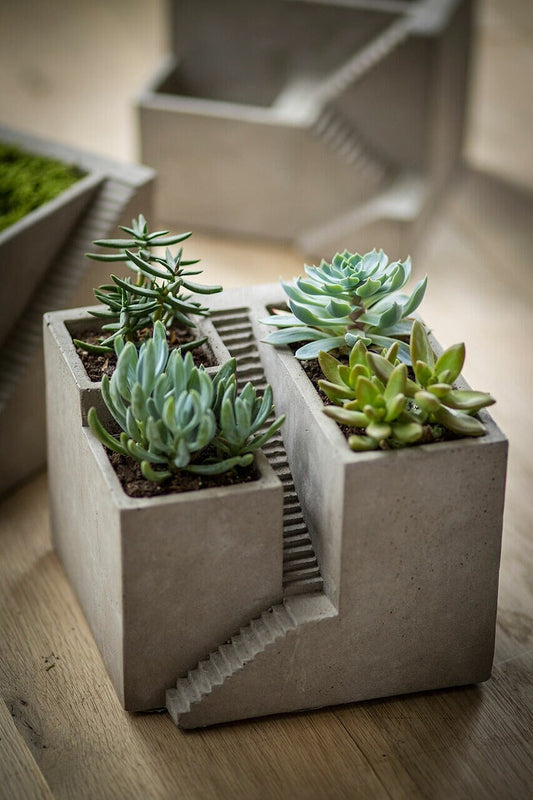 Cement Geometric Architectural Cube Planter III