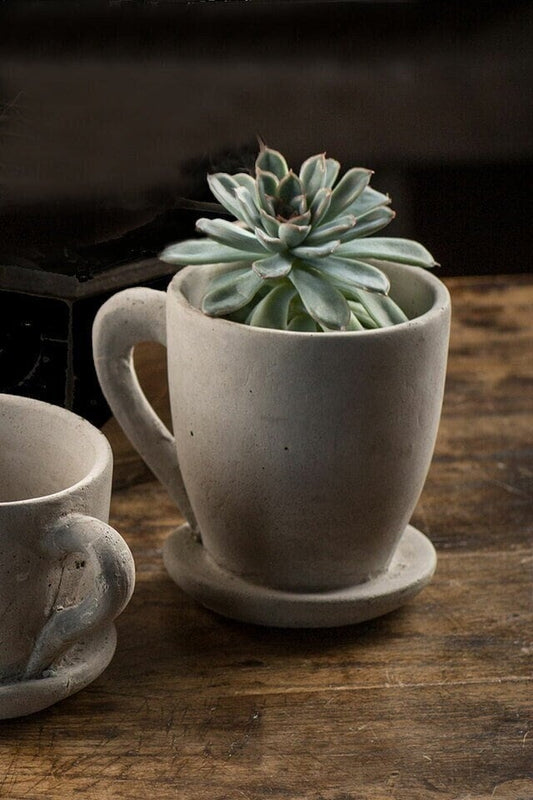 Concrete Coffee Mug Planter Succulents Planter Pots