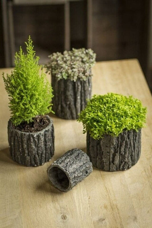 Small Round Shaped Concrete Pot with Bark Like Detailing