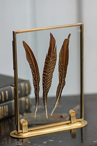 Solid Brass Frame Photo Stand 4x6/5X7 Includes Feathers may different from pic, Horizontal or Vertical Pictures Real Glass Frame.