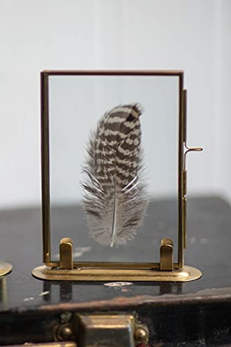 Solid Brass Frame Photo Stand 4x6/5X7 Includes Feathers may different from pic, Horizontal or Vertical Pictures Real Glass Frame.