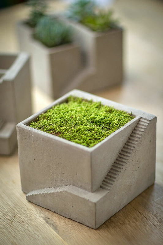 Cement Geometric Architectural Cube Planter I