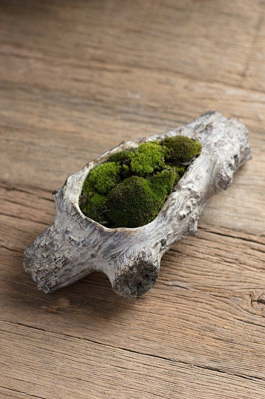 Faux Bois Cement Log Planter M- XL