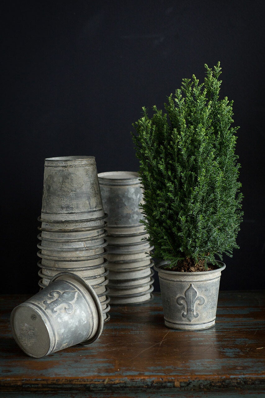 set of 2 Metal and Zinc Finish Fleur de Lis Flower Pot