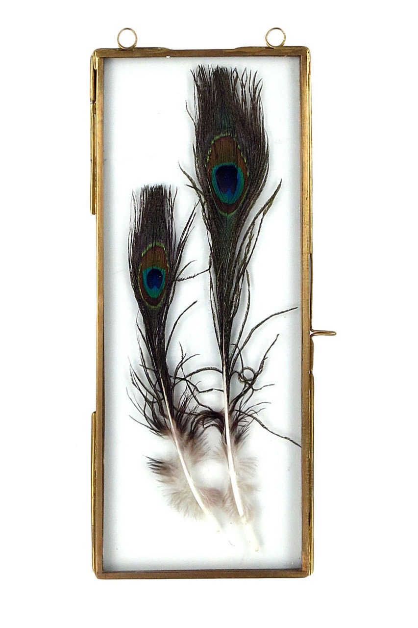 Brass Frame With Hanging Loops Includes feathers picked at random