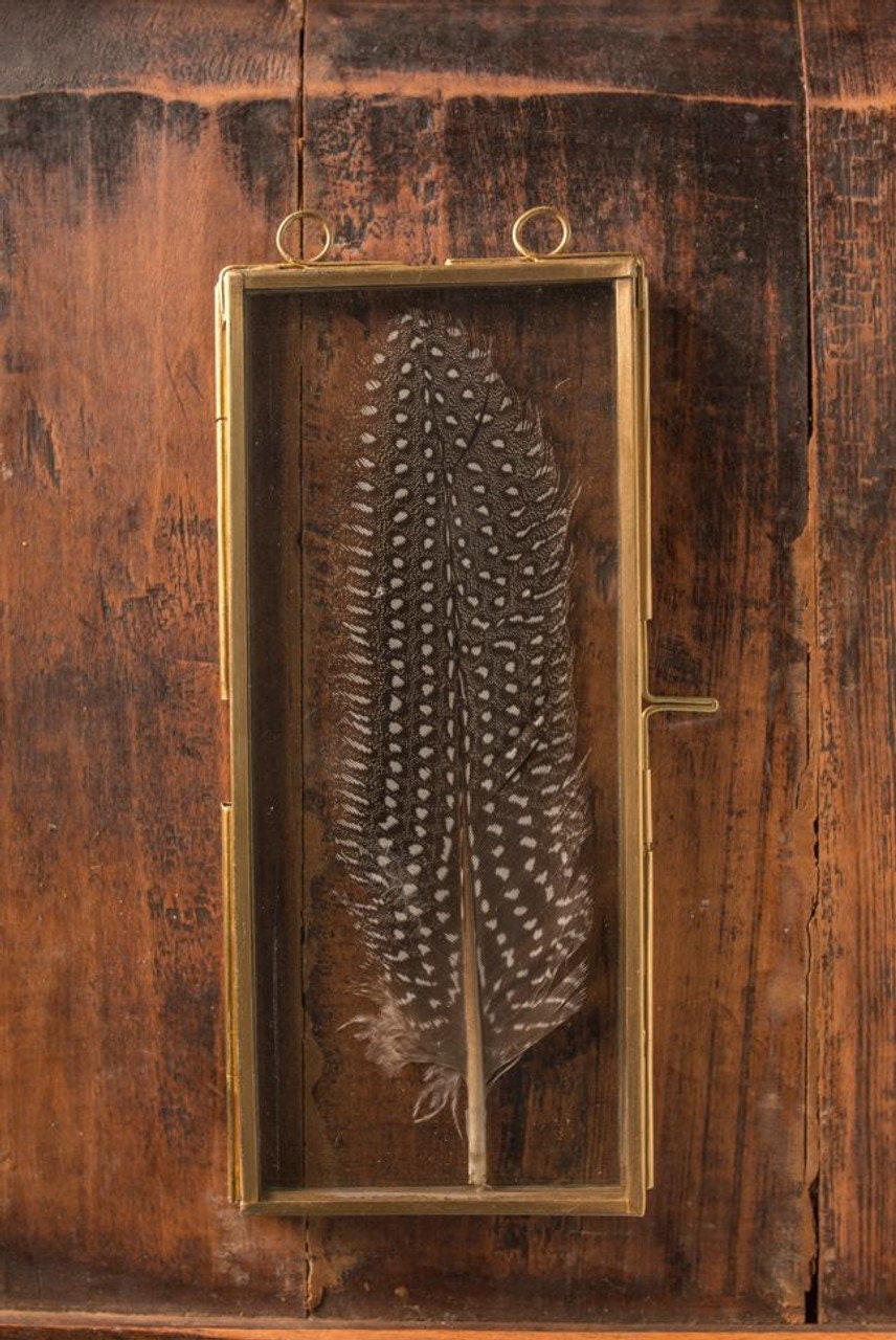 Brass Frame With Hanging Loops Includes feathers picked at random