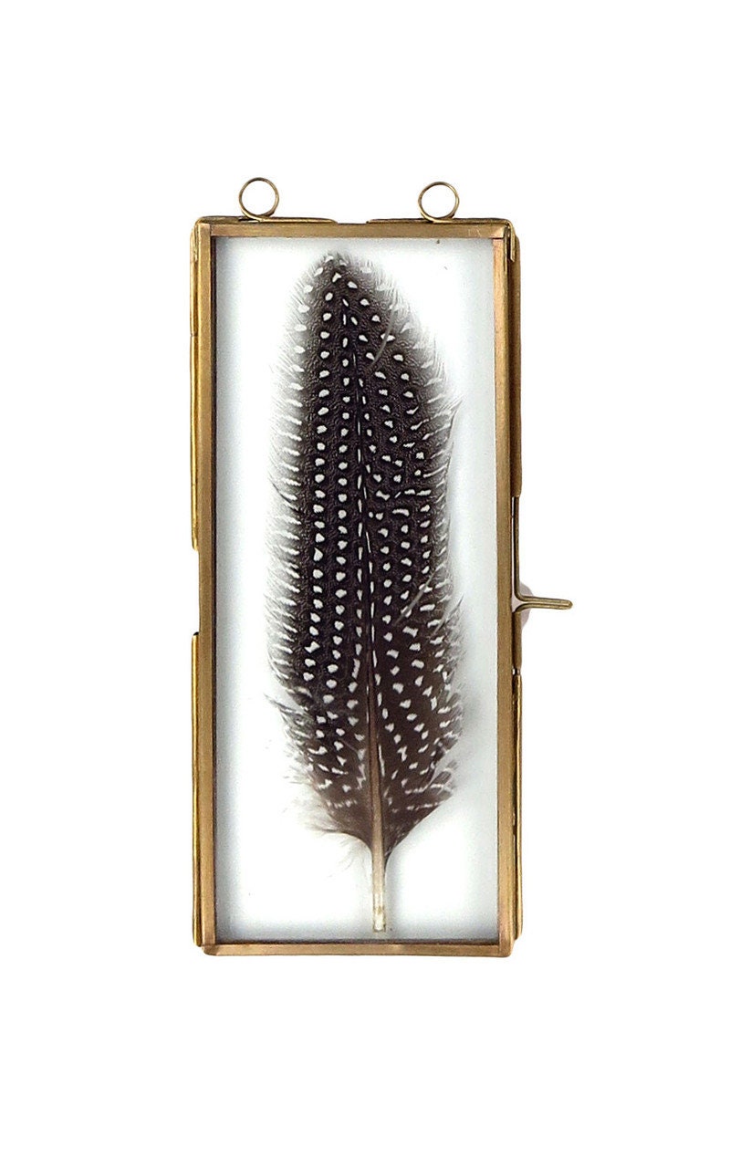 Brass Frame With Hanging Loops Includes feathers picked at random