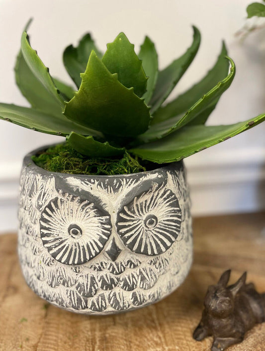 Cement Black Owl Planter